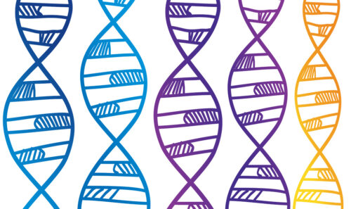 5 strands of DNA