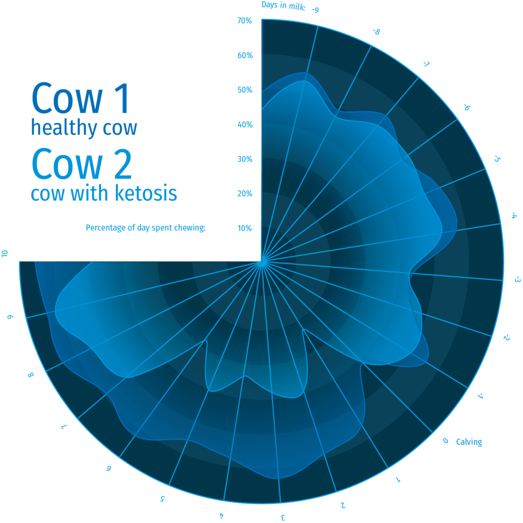 Chart showing eating time of two cows